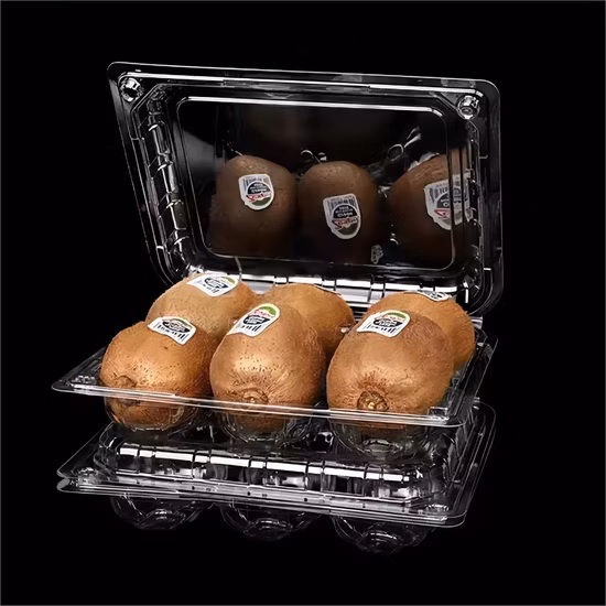 명확한 힌지 플라스틱 대합 조개 껍질 음식 치약 립스틱 종이 상자 컨테이너 포장 상자 꺼내기